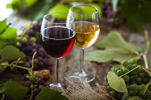 Les vins des vignobles de Châteauneuf-du-pape